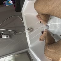 Dating - Men for Tgirl London – Ahmed 