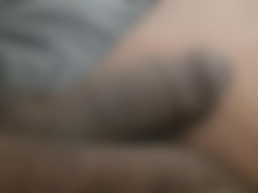 Brownbananna